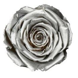 Middle Silver - Flor De Lux