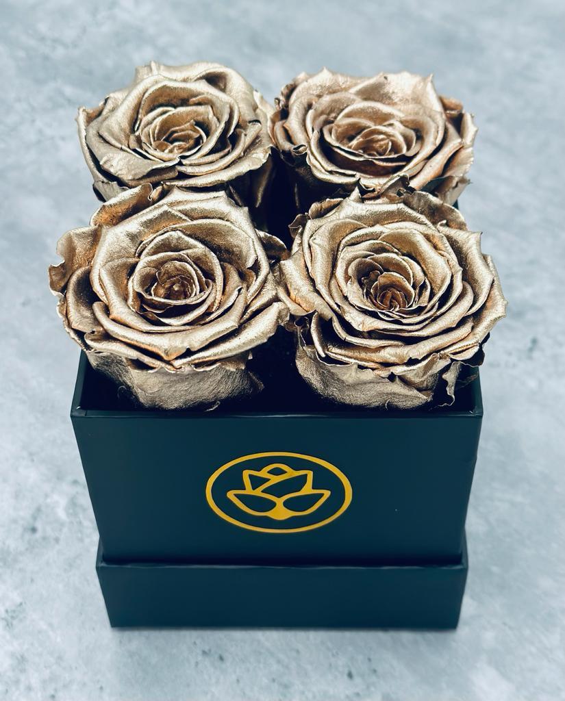 XS Black Square Box - Preserved Roses