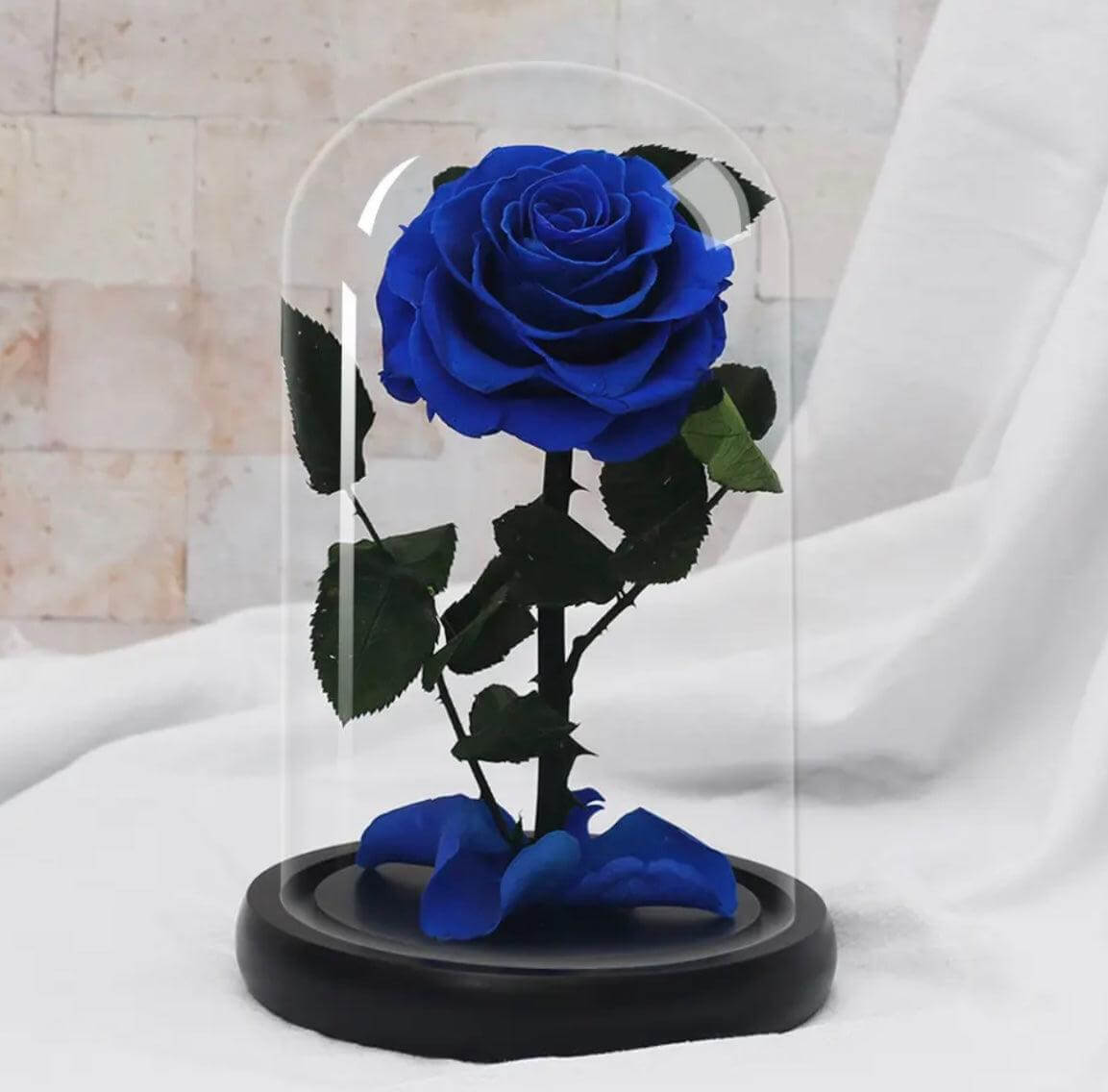 Beauty & The Beast Blue Preserved Rose