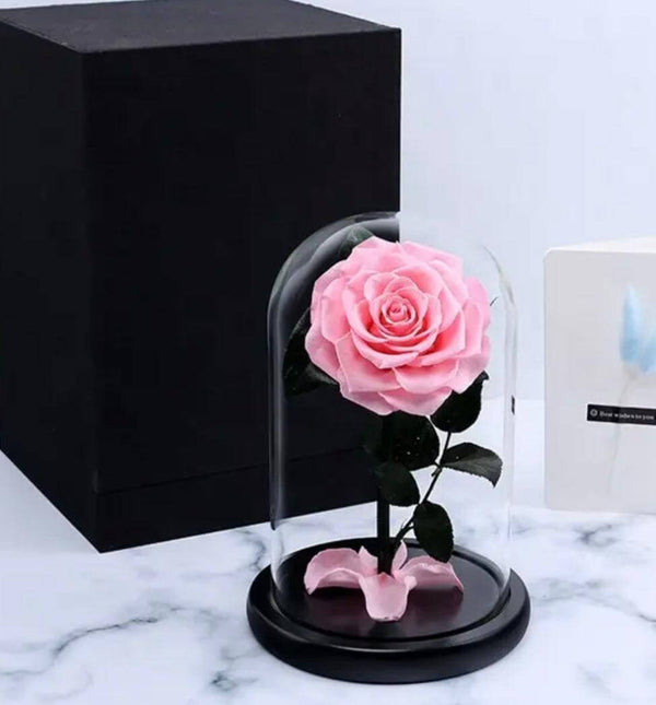 Beauty & The Beast Pink Preserved Rose