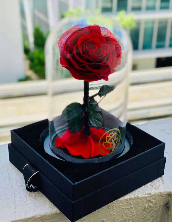 Beauty & The Beast Red Preserved Rose - Flor De Lux