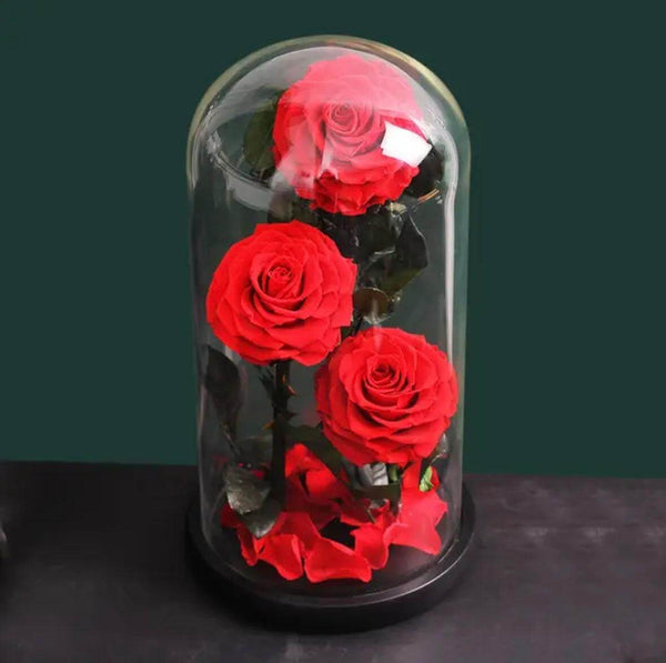 Belle Trio Red Preserved Roses