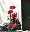De Lux Belle Trio Red Preserved Roses