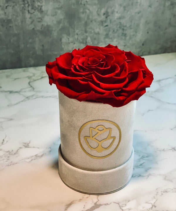 Single Suede Jumbo Rose Box - Preserved Rose - Flor De Lux