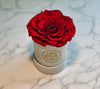 Single Suede Jumbo Rose Box - Preserved Rose