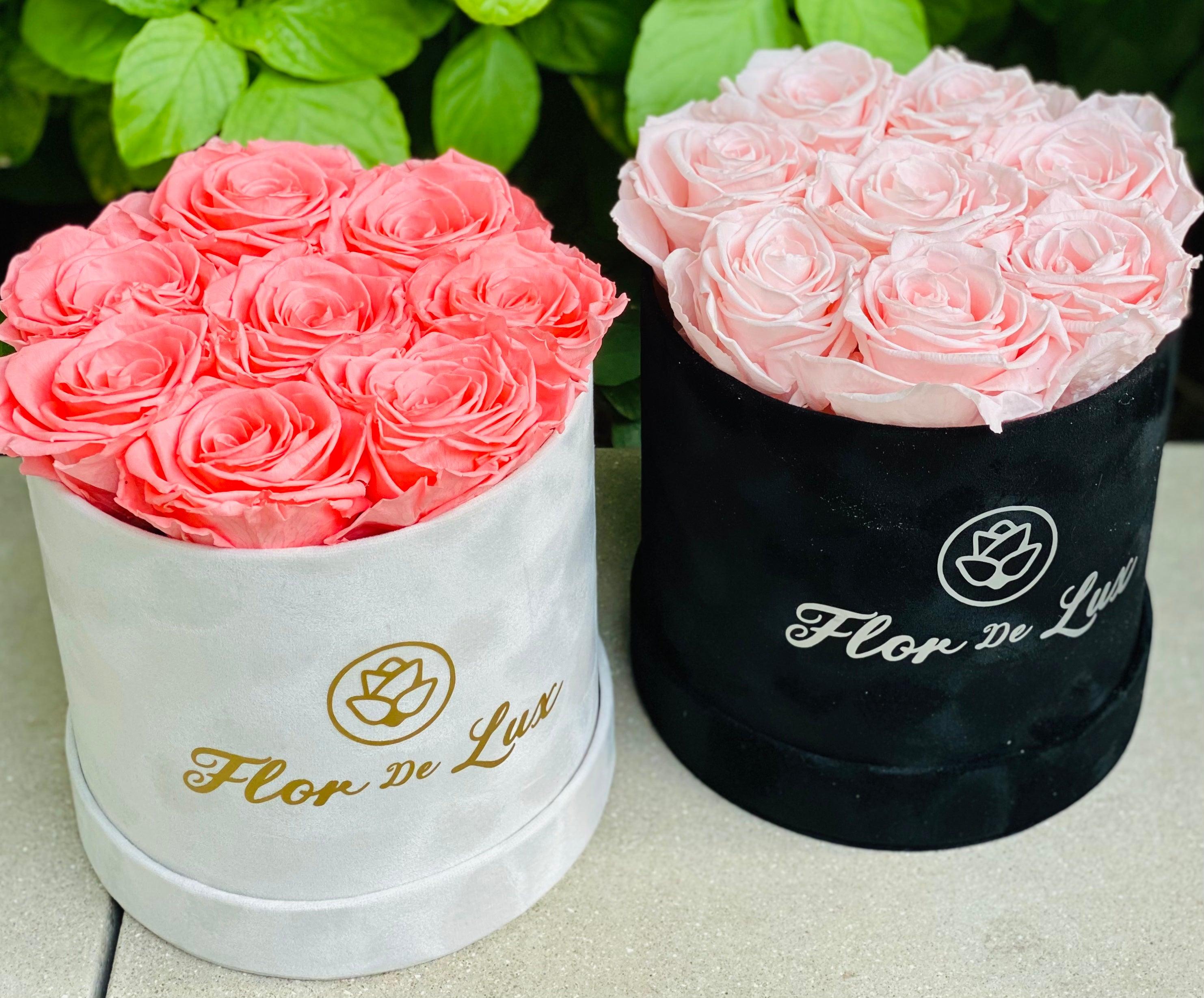 XS Round Box - Preserved Roses - Flor De Lux